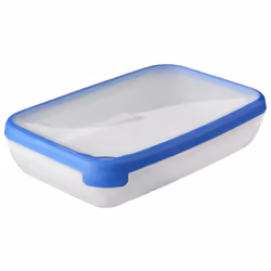 Curver Grand Chef 3253920009043, Box, Rectangular, 2.6 L, Blue, Transparent, 300 mm, 200 mm