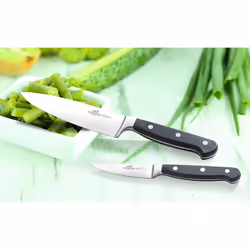 Sabatier Lion International Pluton Bread Knife, 20 cm