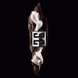 Givenchy Gentleman Society The Shower Gel 200ml