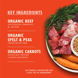 Lilys Kitchen Made with Natural Ingredients Adult Wet Dog Food Tray Organic Beef 11 x 150g