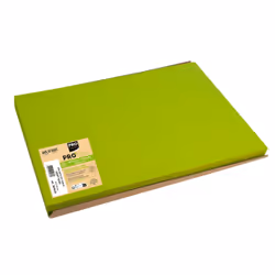 PRONAPPE 304035I placemat Rectangle Green 4 pc(s)