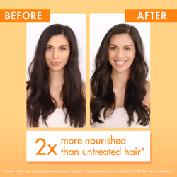 Klorane Nourishing Conditioner with Mango Butter  Moisturize and Hydrate Dry Hair  Paraben  Silicone  Sulfate Free  1.6 oz.