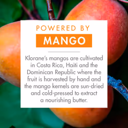 Klorane Nourishing Conditioner with Mango Butter  Moisturize and Hydrate Dry Hair  Paraben  Silicone  Sulfate Free  1.6 oz. - Additional view 4