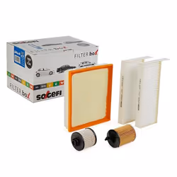 Filter Set; PURFLUX; for PEUGEOT