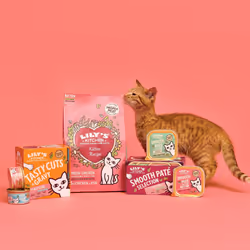 Lily's Kitchen Natural Kitten Dry Cat Food Chicken & White Fish 800g, Pack of 4