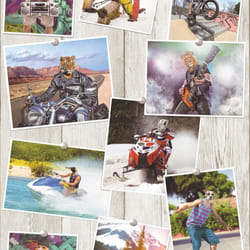 Ugepa Manimals Multi Wallpaper L39001