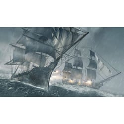 Ubisoft Assassin's Creed IV : Black Flag + Assassin's Creed Rogue PlayStation 3