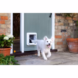 Sure Petcare SureFlap Microchip Pet Door for Cats & Small Dogs with Curfew Timer, Compatible with RFID Collar Tags and Microchips, 1-Button Control, W