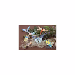 - Ref 95366C - Origami Paper Kit (Pack of 60 Sheets) - 3 Assorted Sizes, 70gsm Paper, Printed Design on Front & Plain Backs - Insects to Make