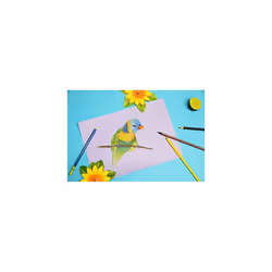 - Ref 960452C - Tulipe Grained Coloured Drawing Paper (Pack 24 Sheets) - A4 (29.7 x 21cm) - 160gsm Paper - Assorted Bright Colours - Deep-Dyed, Pure