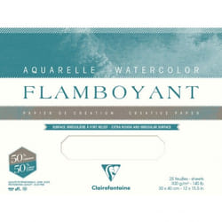 Clairefontaine 975064C Art paper 20 sheets