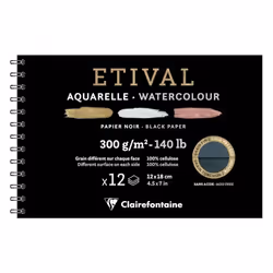 Clairefontaine 975325C, 12 sheets