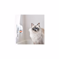 CatComfort Calming Starter Kit Diffuser Plugin With Refill Reduces Anxiety Stress in Cats Helps Ease Fear of Fireworks Covers 70m Area Lasts Up To 30 - Additional view 3