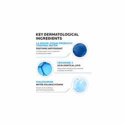 La Roche-Posay Toleriane Double Repair Matte Face Moisturizer, Daily M