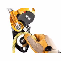 Petzl P51A PRO TRAXION Very Efficient Loss-Resistant Progress Capture Pulley