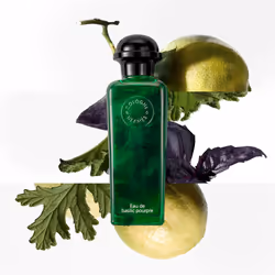 Eau De Basilic Pourpre eau de cologne spray 100 ml