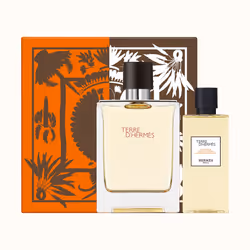 Hermes Terre Eau De Toilette Set, Men, 1 pc(s), Eau de toilette, 100 ml, Spray, Olfactory emotion: Spicy, Dry. Main raw mater ...