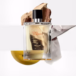 Terre D’HERMÈS eau de toilette spray 100 ml