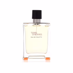 Terre D'Hermes by Hermes Eau De Toilette Spray (Tester) 3.4 oz(D0102HA5H8Y.)