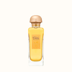 Hermes Caleche Soie de parfum Eau De Parfum 100 ml