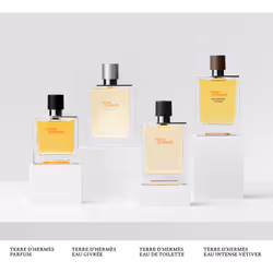 Terre D’HERMÈS parfum spray 200 ml - Additional view 4