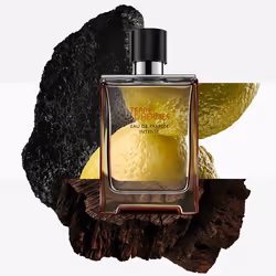 Hermes Terre d'Hermès Eau de parfum intense refill 200 ml - Additional view 3