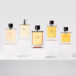 Hermes Terre d'Hermès Eau de parfum intense refill 200 ml - Additional view 4