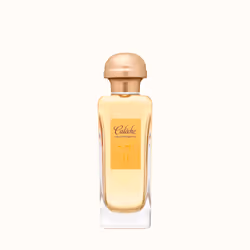 Hermes Calèche Eau de toilette 100ml, Women, 100 ml, Non-refillable bottle, Aldehyde, Jasmine, Rose, Spray, Alcohol, Aqua (Wa ...