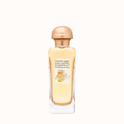 Hermes Calèche Eau de toilette 100ml