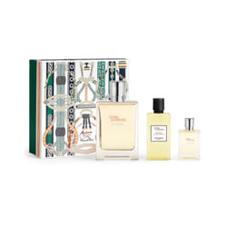 Terre d Hermes Eau Givree 3 Piece Eau De Parfum 100ml Gift Set