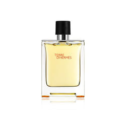 Hermes Terre d'Hermès 100ml
