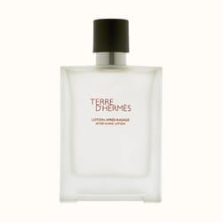 Hermes Terre d'Hermès 100ml