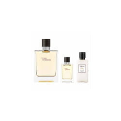 Hermes Terre d'Hermes Gift Set 100ml EDT Spray + 12.5ml EDT Spray + 40ml Aftershave Balm