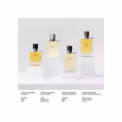 Hermes Terre D'hermes Eau Intense Vetiver Eau De Parfum Spray for Men  1.6 Ounce