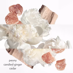 Hermes Twilly Eau Ginger Eau De Parfum 30 ml