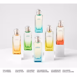 Hermes Un Jardin Sur Le Nil 100ml - Additional view 4