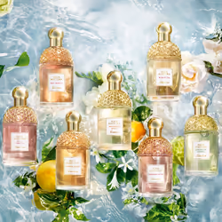 Guerlain Aqua Allegoria 75 ml