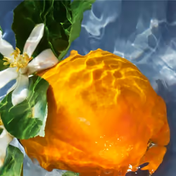 Guerlain Aqua Allegoria Orange Soleia Eau de Toilette 125ml
