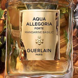 Guerlain Mandarine Basilic Forte Eau De Parfum 75 ml - Additional view 4