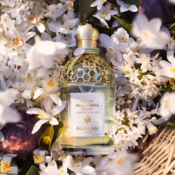 Guerlain Aqua Allegoria Nerolia Vetiver Harvest Eau De Toilette 125ml