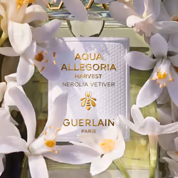 Guerlain Aqua Allegoria Nerolia Vetiver Harvest Eau De Toilette 125ml