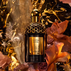 Guerlain Absolus Allegoria Santal Royal Eau De Parfum 125 ml