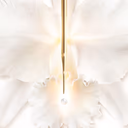 Guerlain Orchidée Impériale Brightening The Radiance Eye Serum 15ml