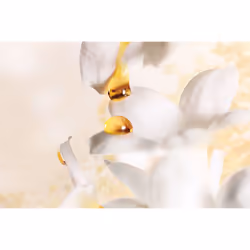 Dior J'Adore Absolu Eau De Parfum 75ml