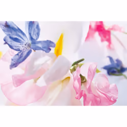 Dior Miss Eau De Parfum 100ml - Additional view 4