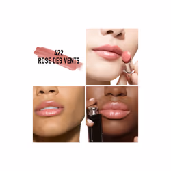 Dior Addict Rose des Vents 422 3.2 g