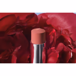 Dior Rouge Forever Forever Grace 558