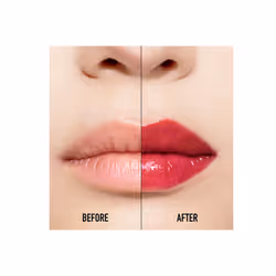 Dior Addict Lip Maximizer 027 Intense Fig