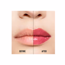 Dior Addict Lip Maximizer 029 Intense Grape