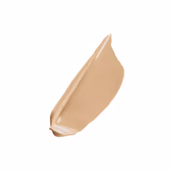 Dior Forever Skin Correct 2WO Warm Olive